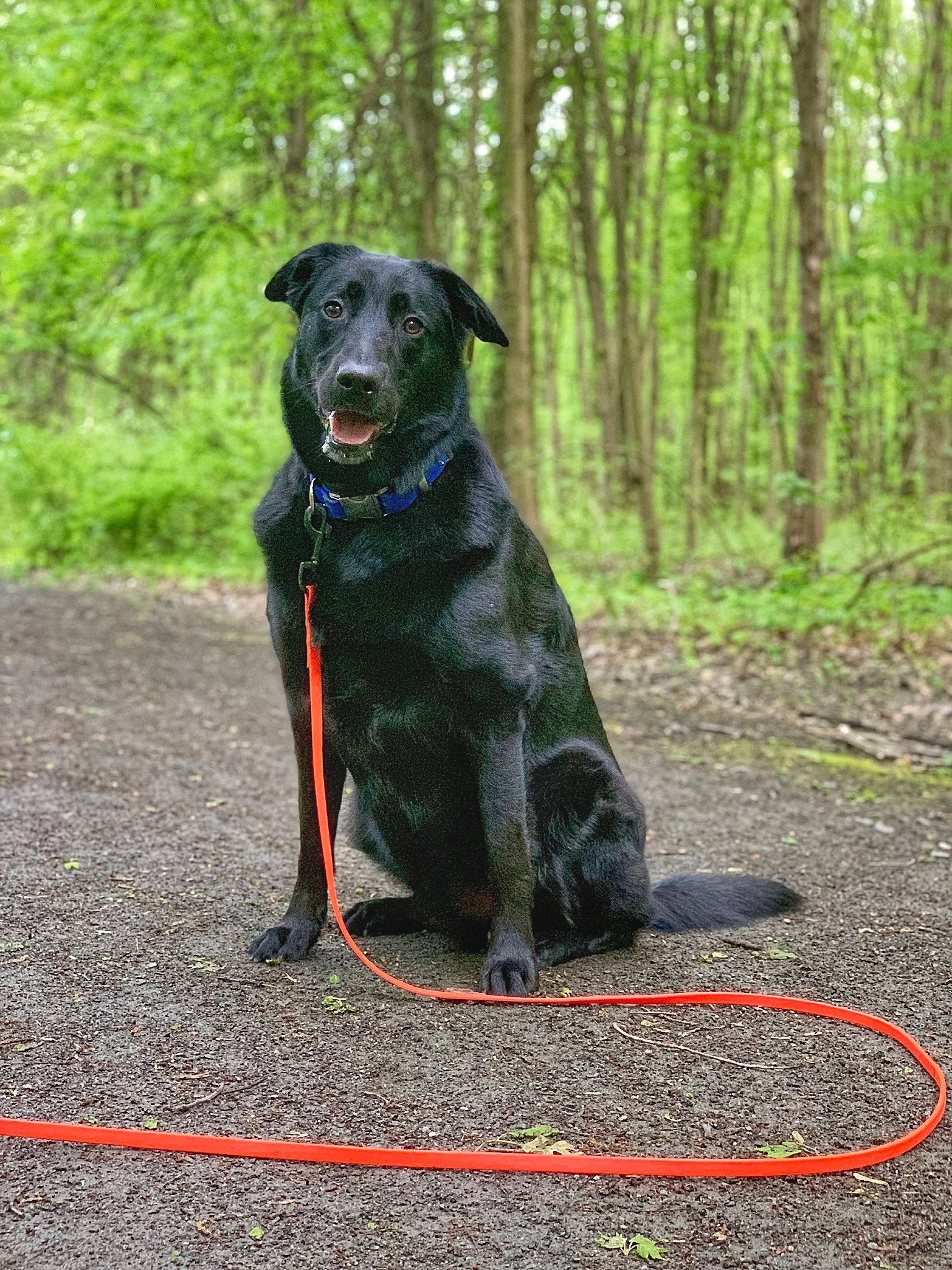 E7CBABA3-0526-493C-9022-1BC4181A952F