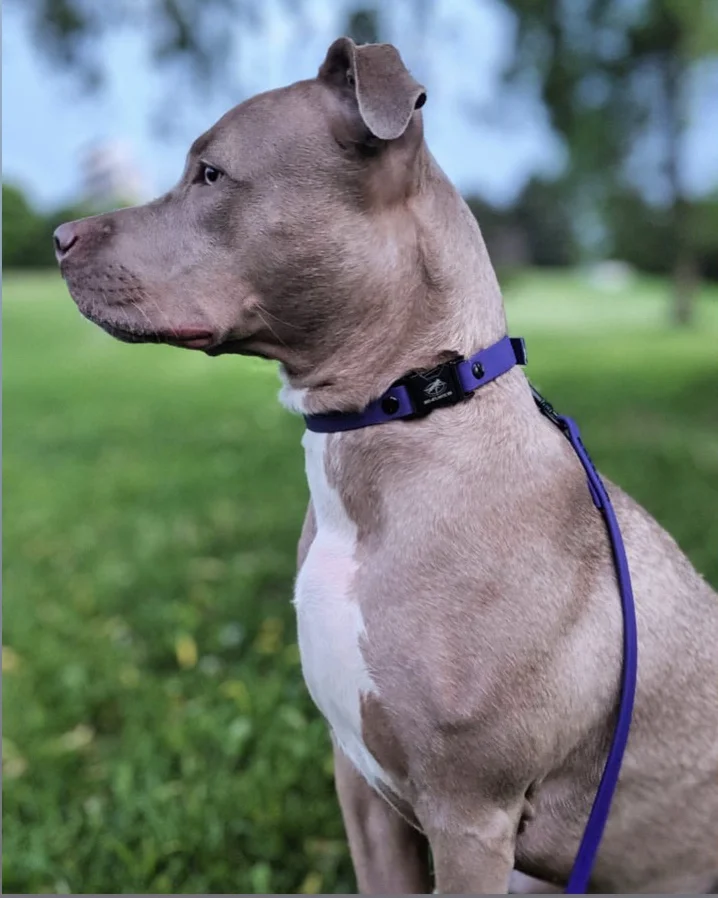 E49C92DC-AAEA-45D7-B97E-15A18807E941