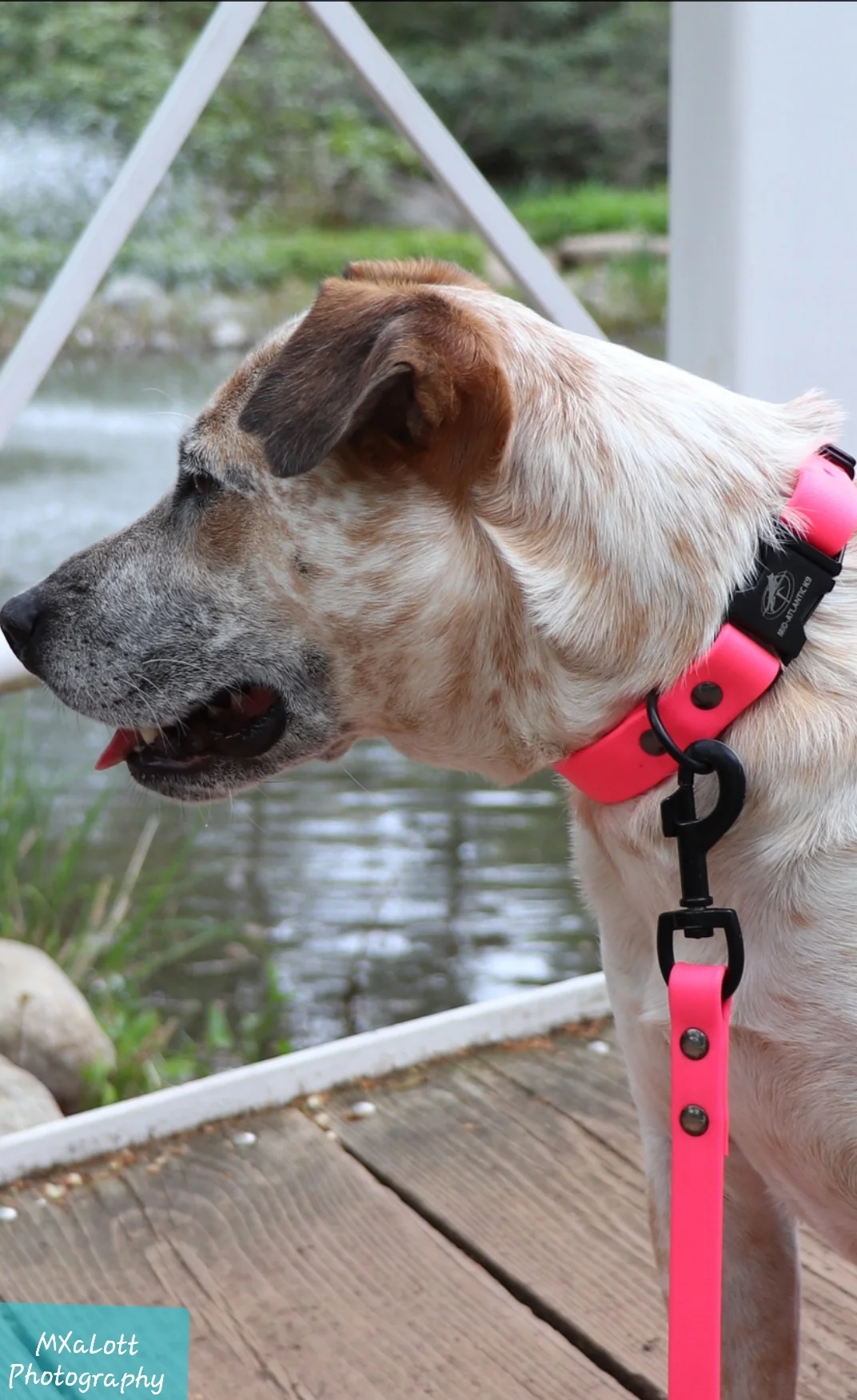 E54BFA8B-E305-44CB-A85E-BD1F8C5BD39D