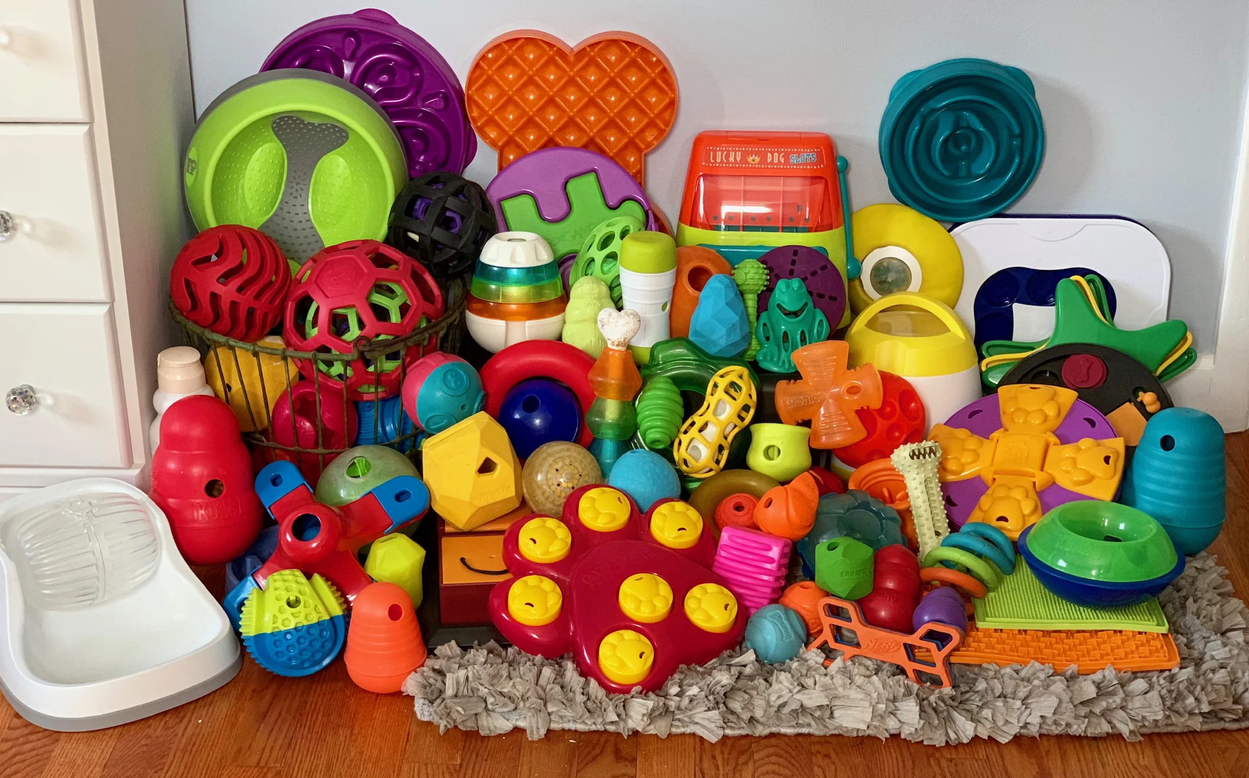 Canine Enrichment Cruel? Or Is It Crucial?