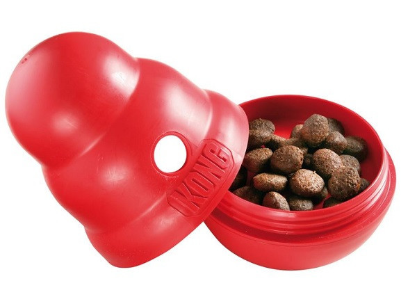 Feed and Entertain Your Dog With a Kong Wobbler - Animal Behavior College