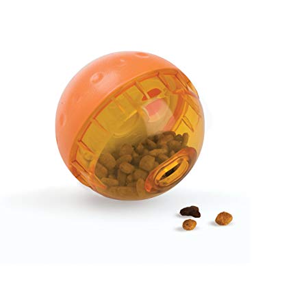 OurPETS IQ Ball.jpg