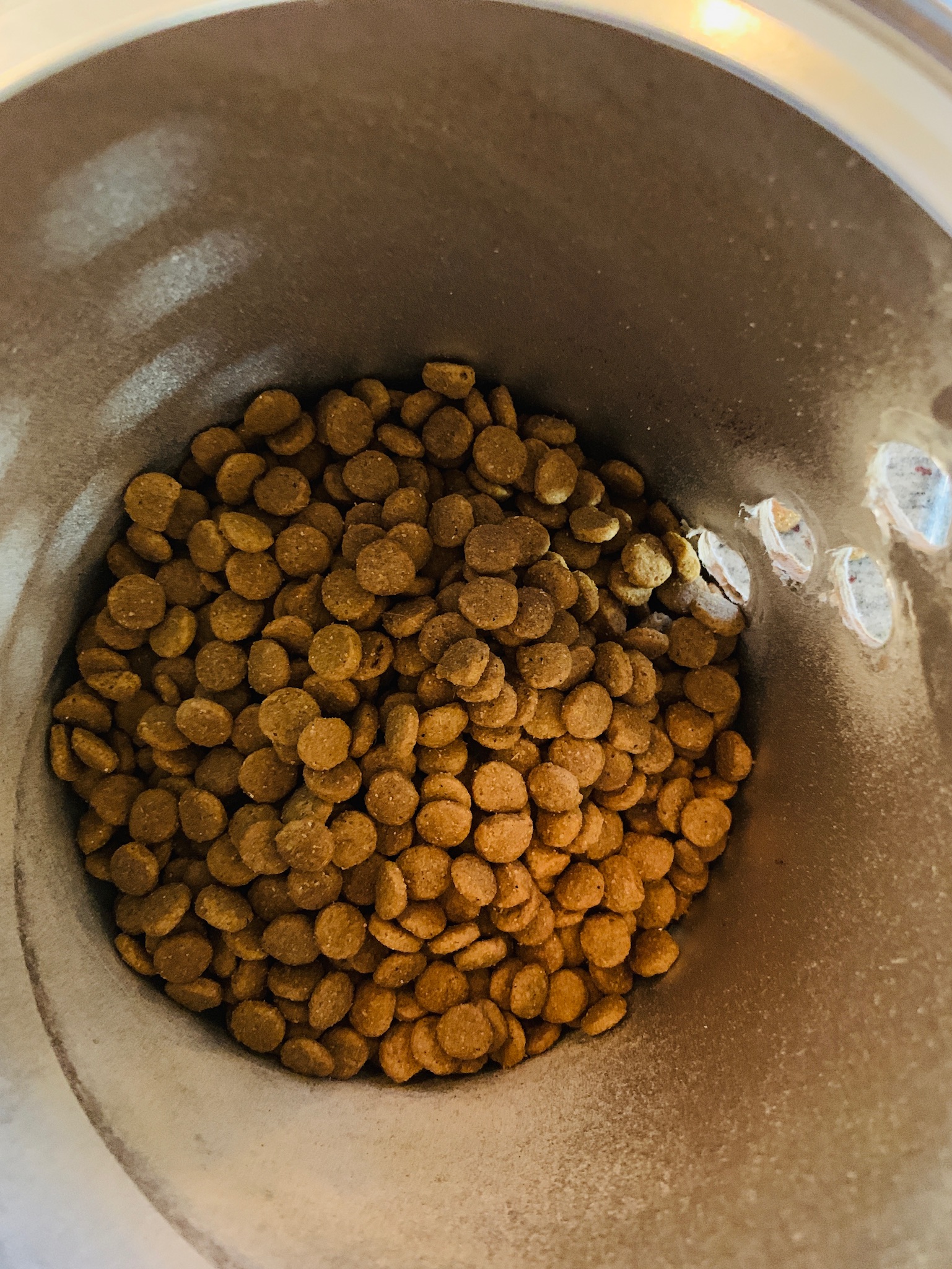 Coffee Container w/ Holes and Kibble