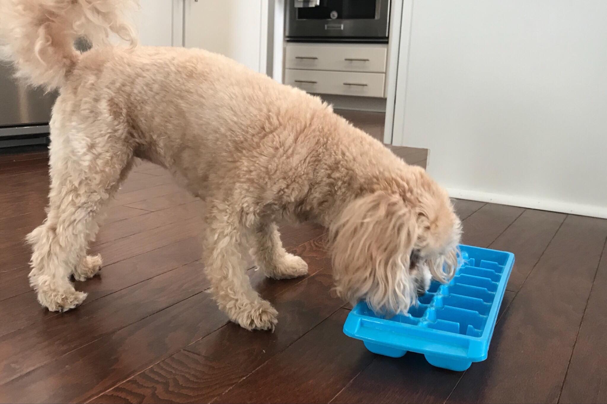 Ice Cube Tray