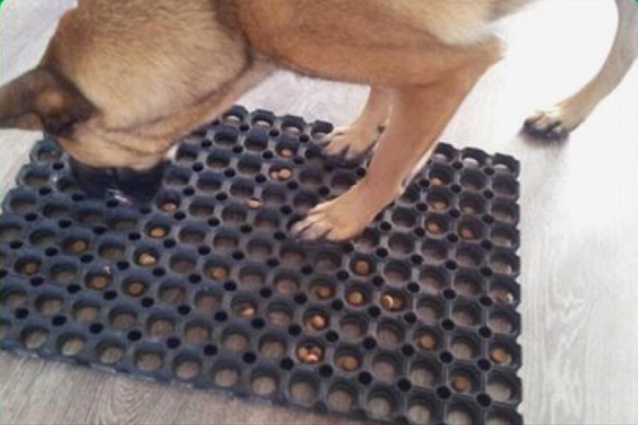 Rubber Door Mat