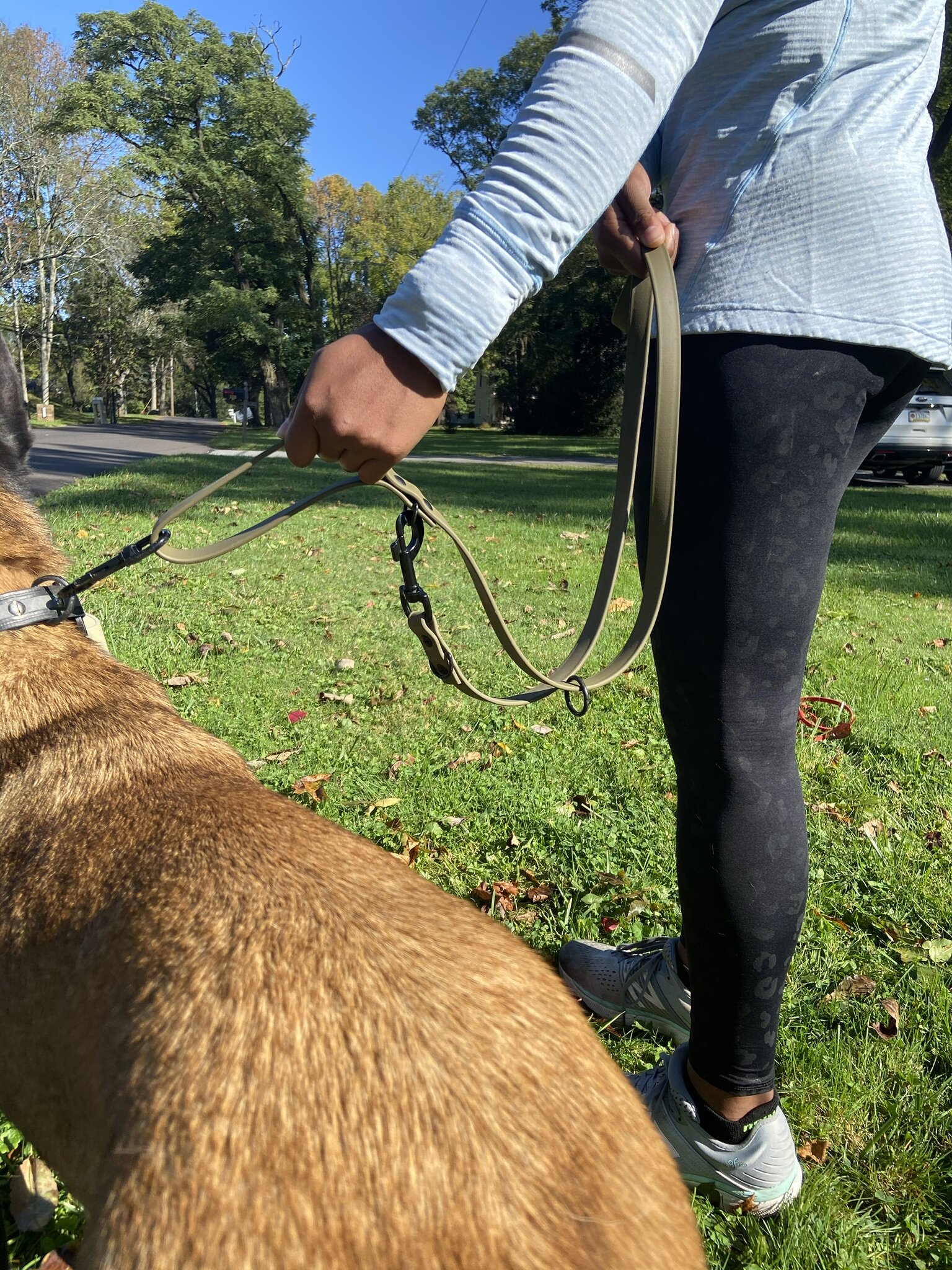 39" Dog Leash with Shopping Handle