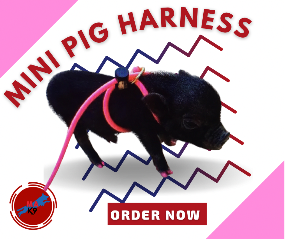 538A3D80-2D29-405C-B281-663A1B1C40C9