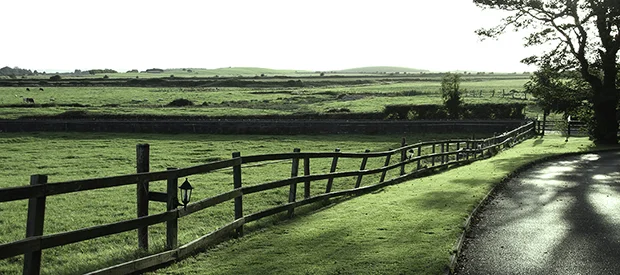 Food Styling and Photography in Ireland