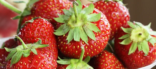 Strawberry Shortcake
