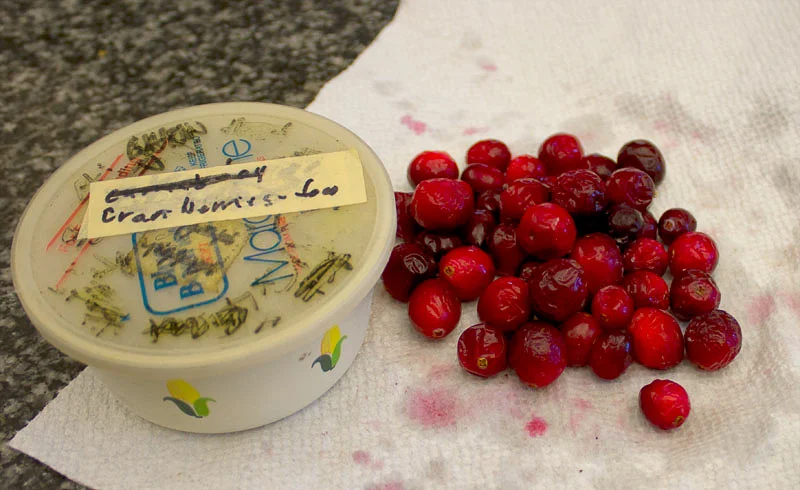 cranberries