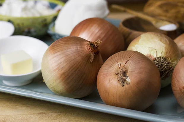 onions dip ingredients