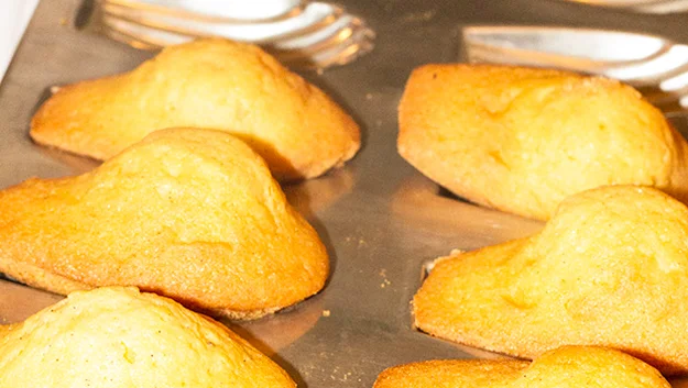 madeleines