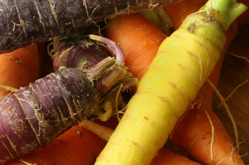 Cafe Style Grated Carrot Salad