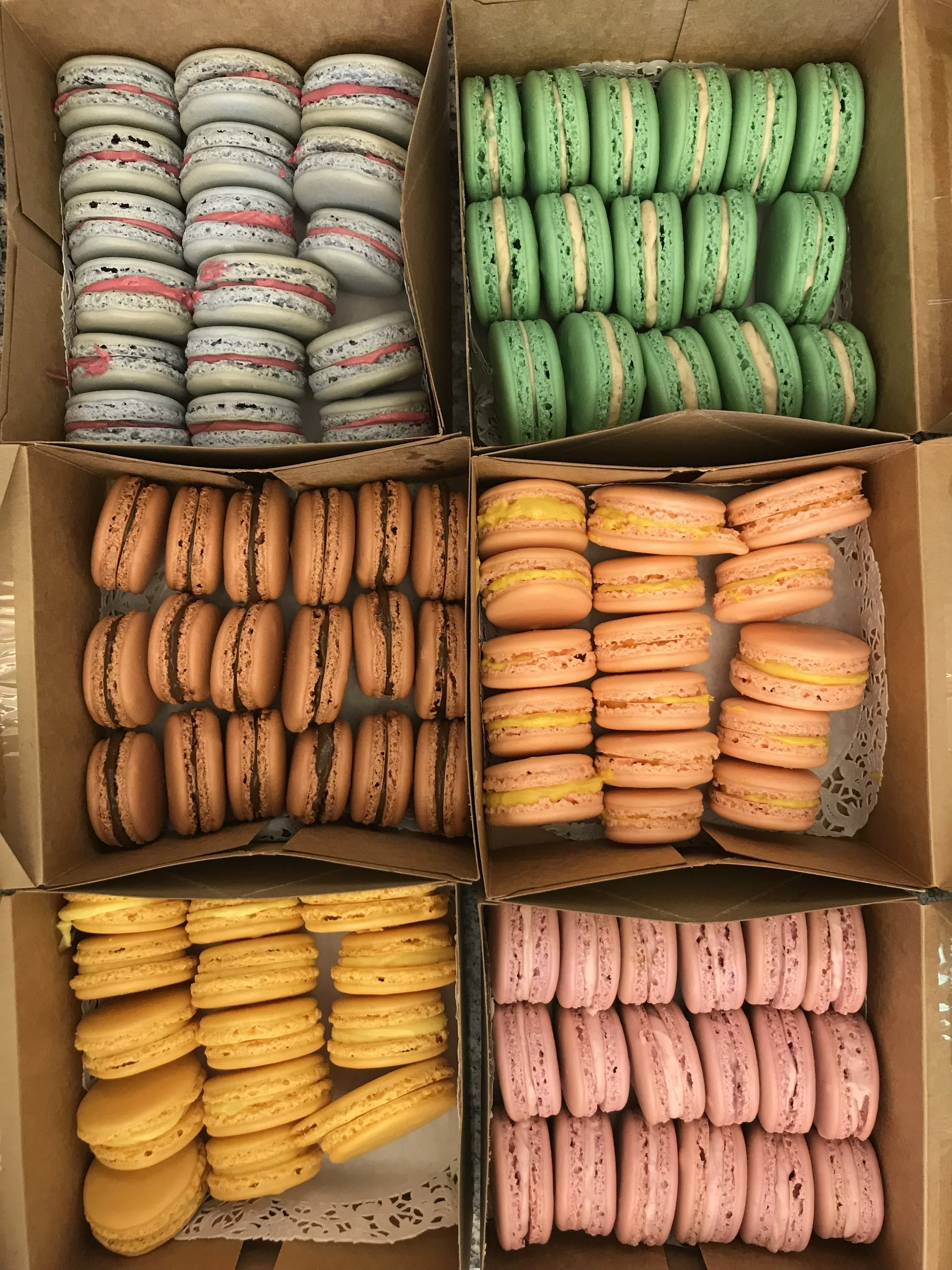 D2A2B315-714C-461E-AEA6-76BFC651E0BE