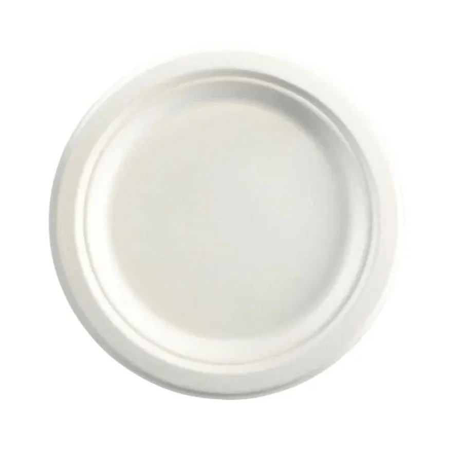 Paper plates.JPG