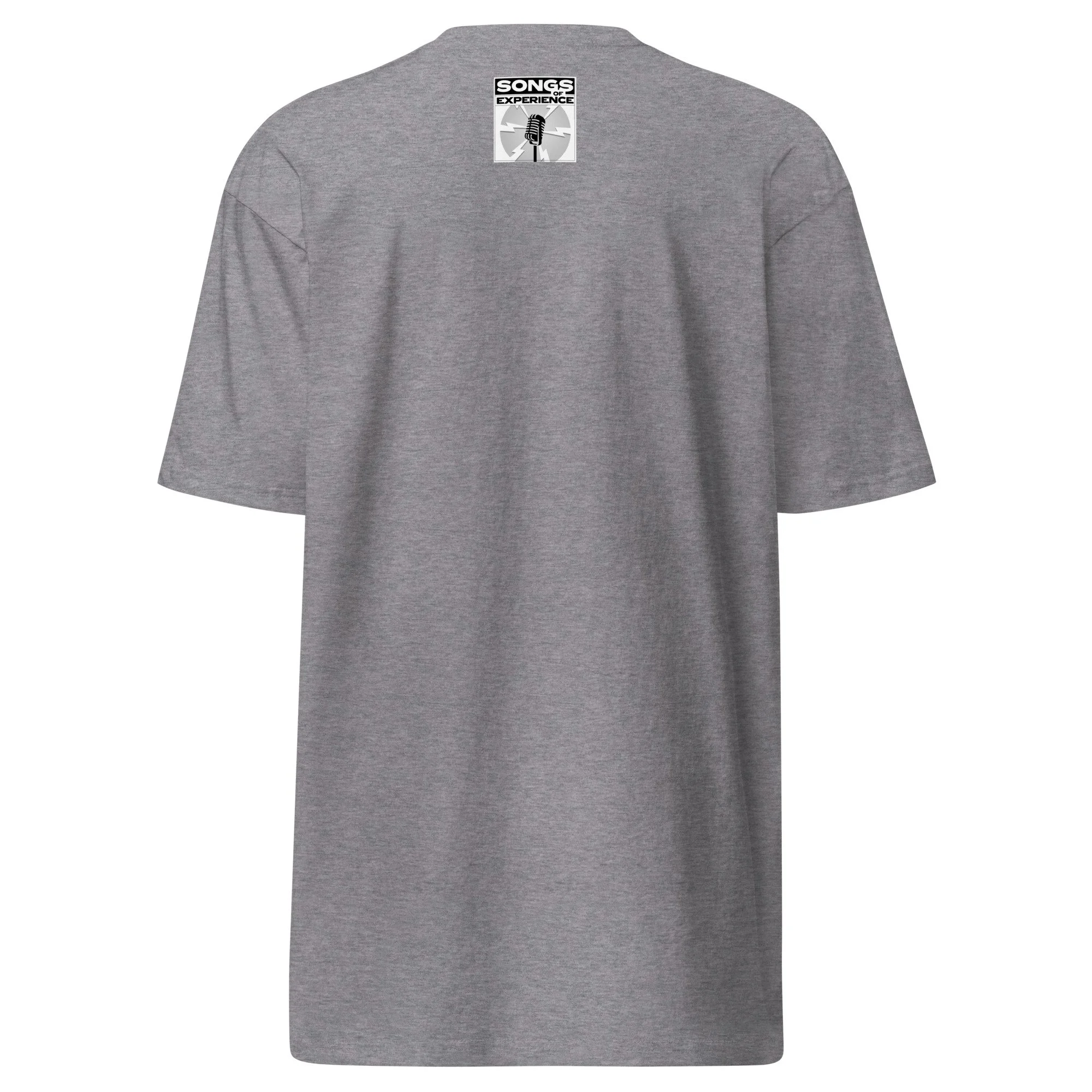 mens-premium-heavyweight-tee-carbon-grey-back-6945802f7915a.jpg