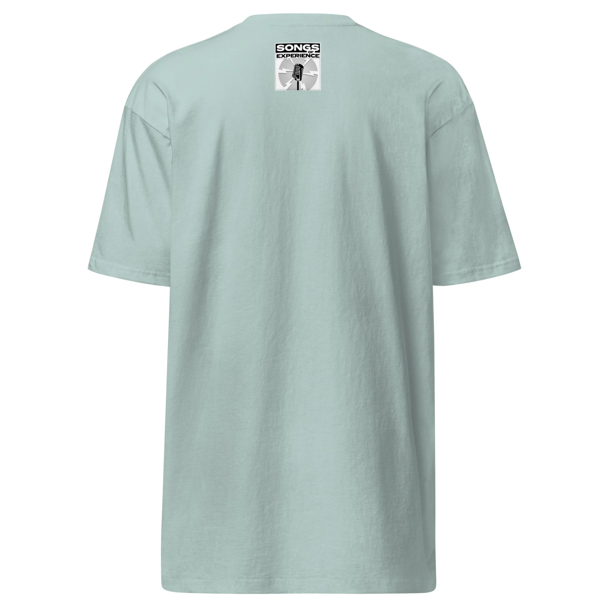 mens-premium-heavyweight-tee-agave-back-6945802f7907d.jpg