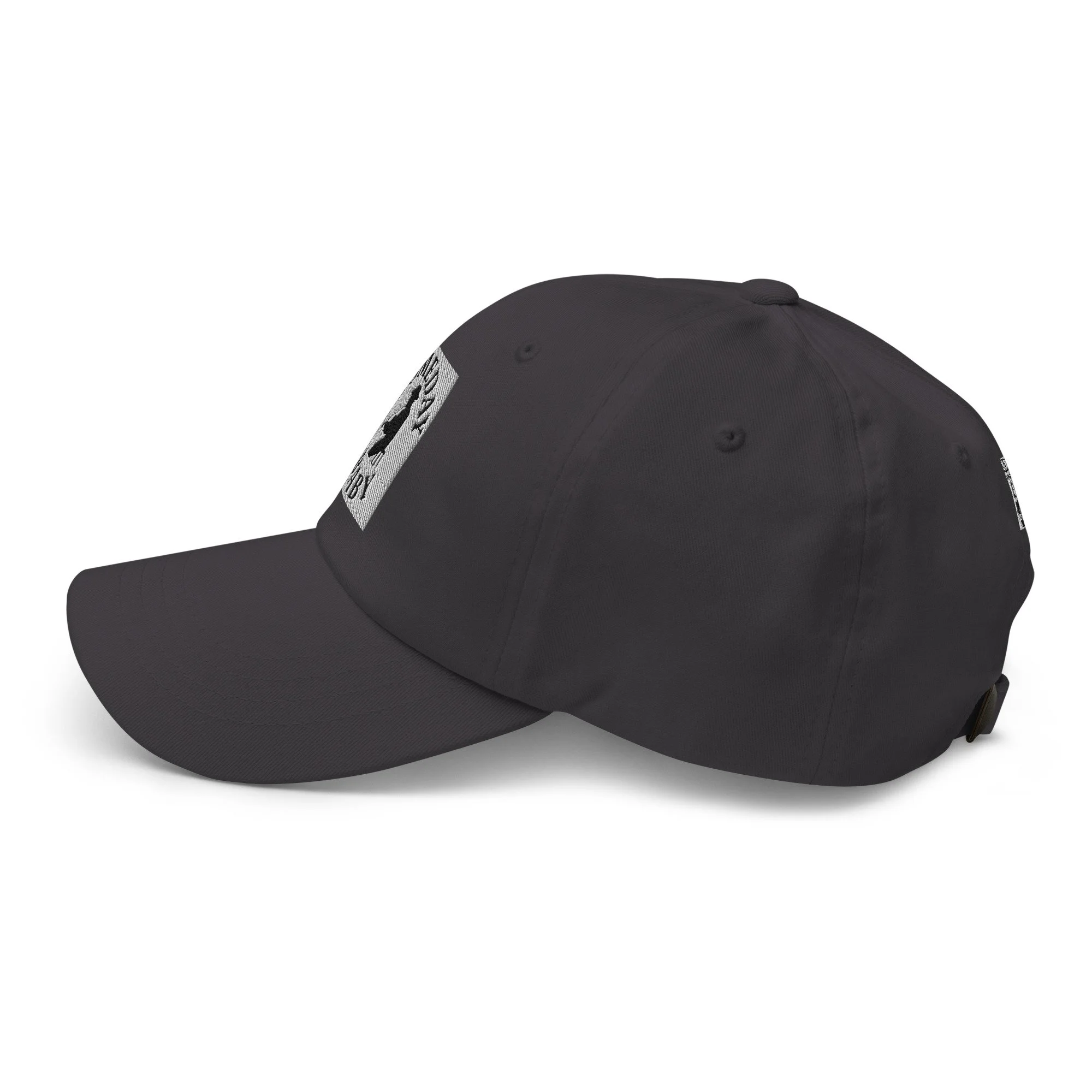 classic-dad-hat-dark-grey-left-side-694582709d26b.jpg