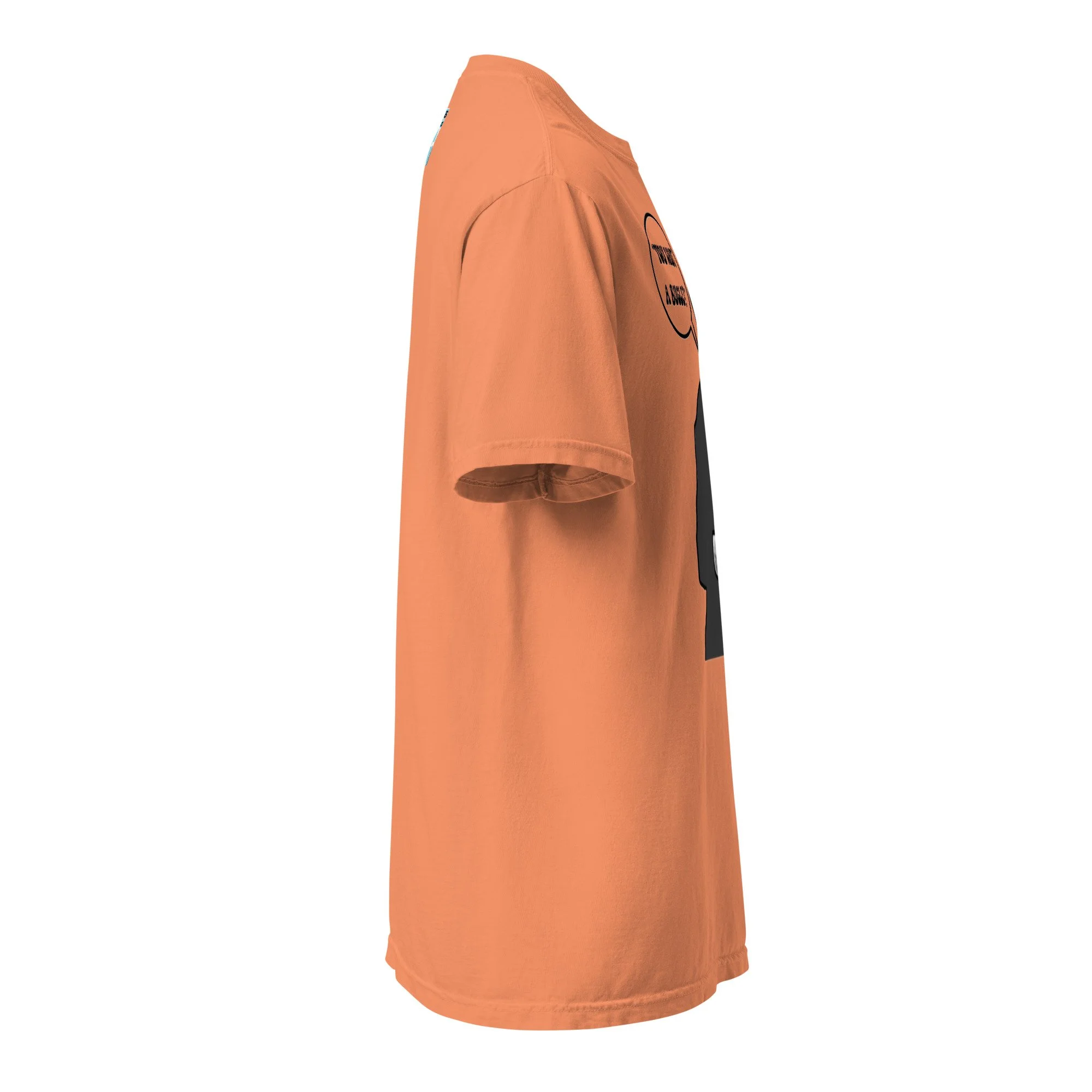 unisex-garment-dyed-heavyweight-t-shirt-terracotta-right-69458395c710a.jpg