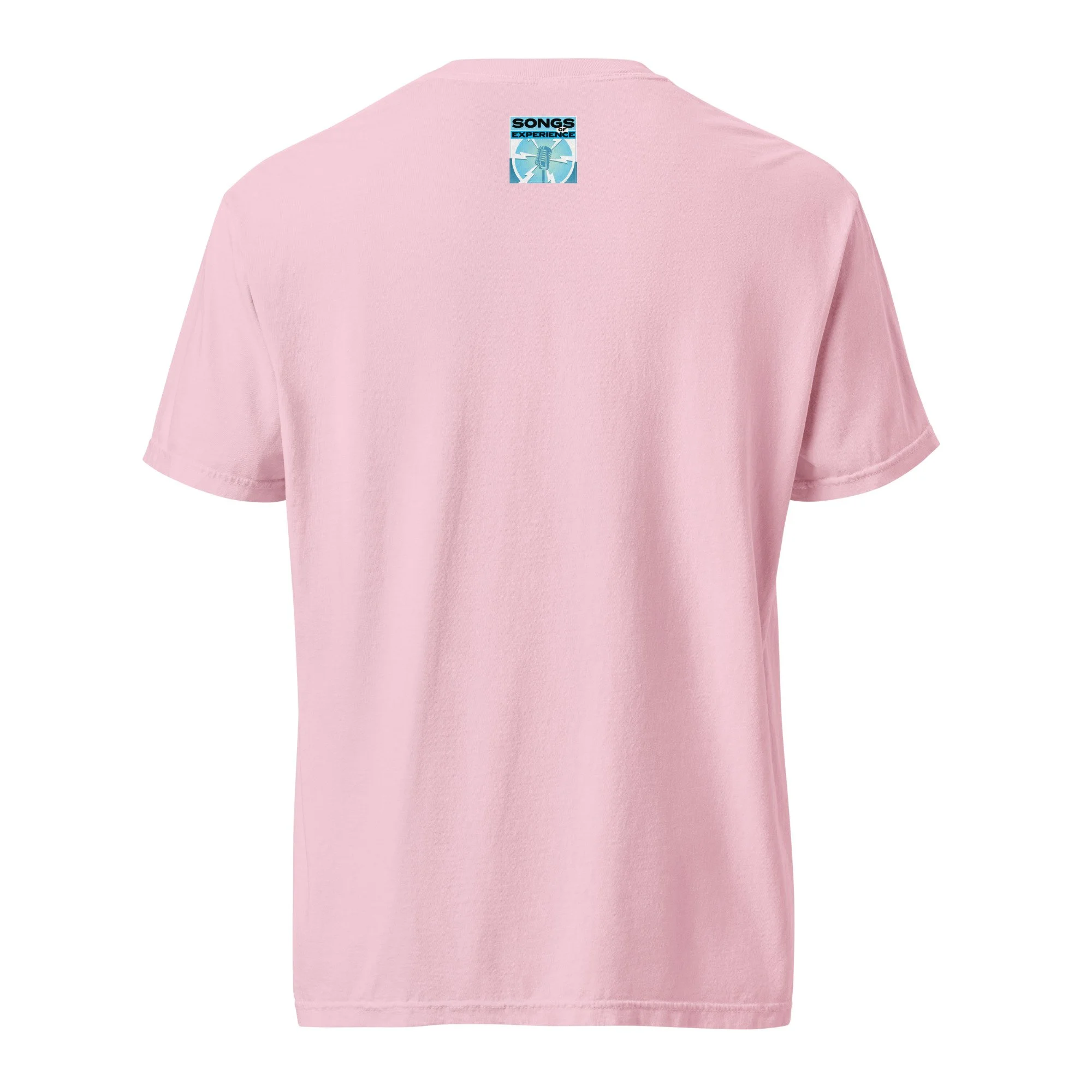 unisex-garment-dyed-heavyweight-t-shirt-blossom-back-69458395c4273.jpg
