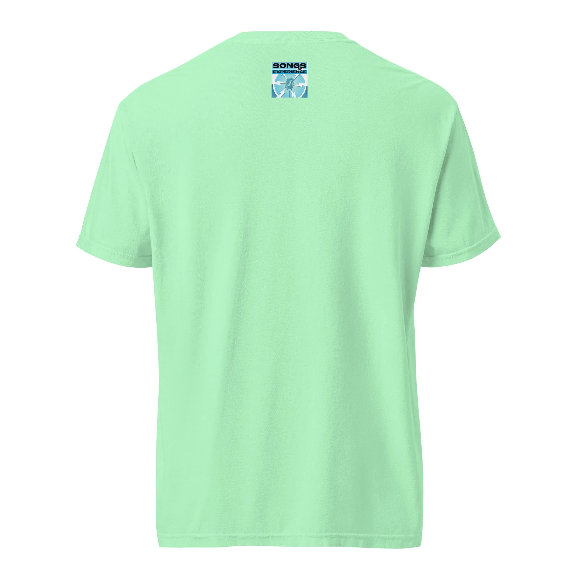 unisex-garment-dyed-heavyweight-t-shirt-island-reef-back-69458395c47cf.jpg