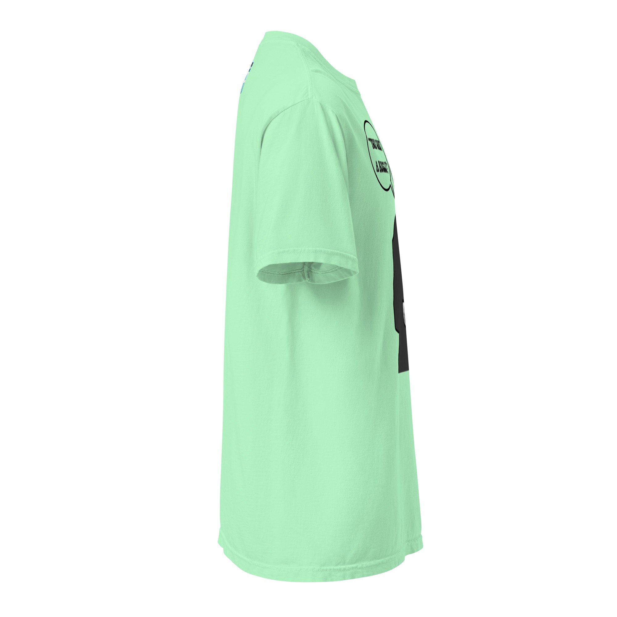 unisex-garment-dyed-heavyweight-t-shirt-island-reef-right-69458395c72f8.jpg