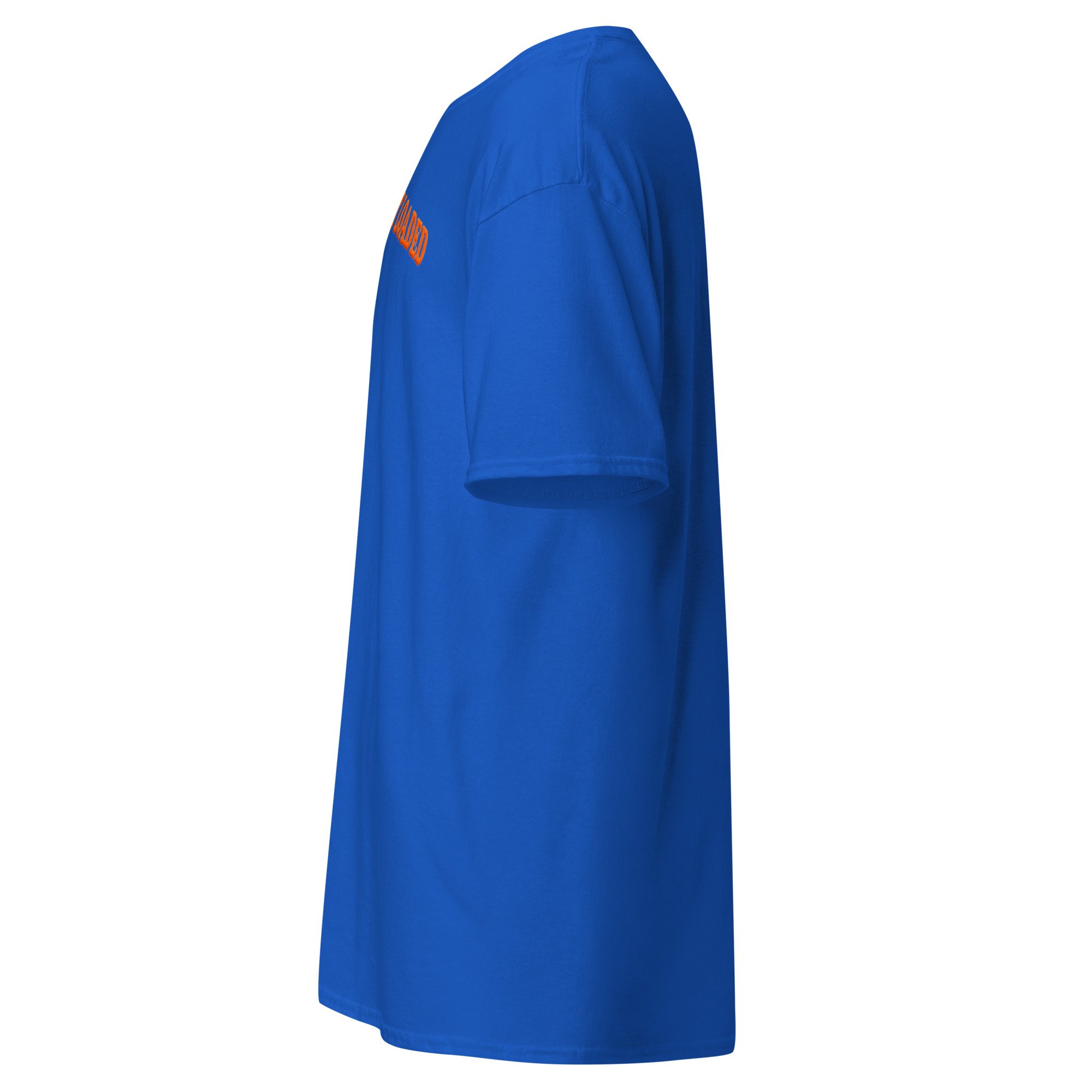 unisex-classic-tee-royal-left-6a79fbe6dad56.jpg