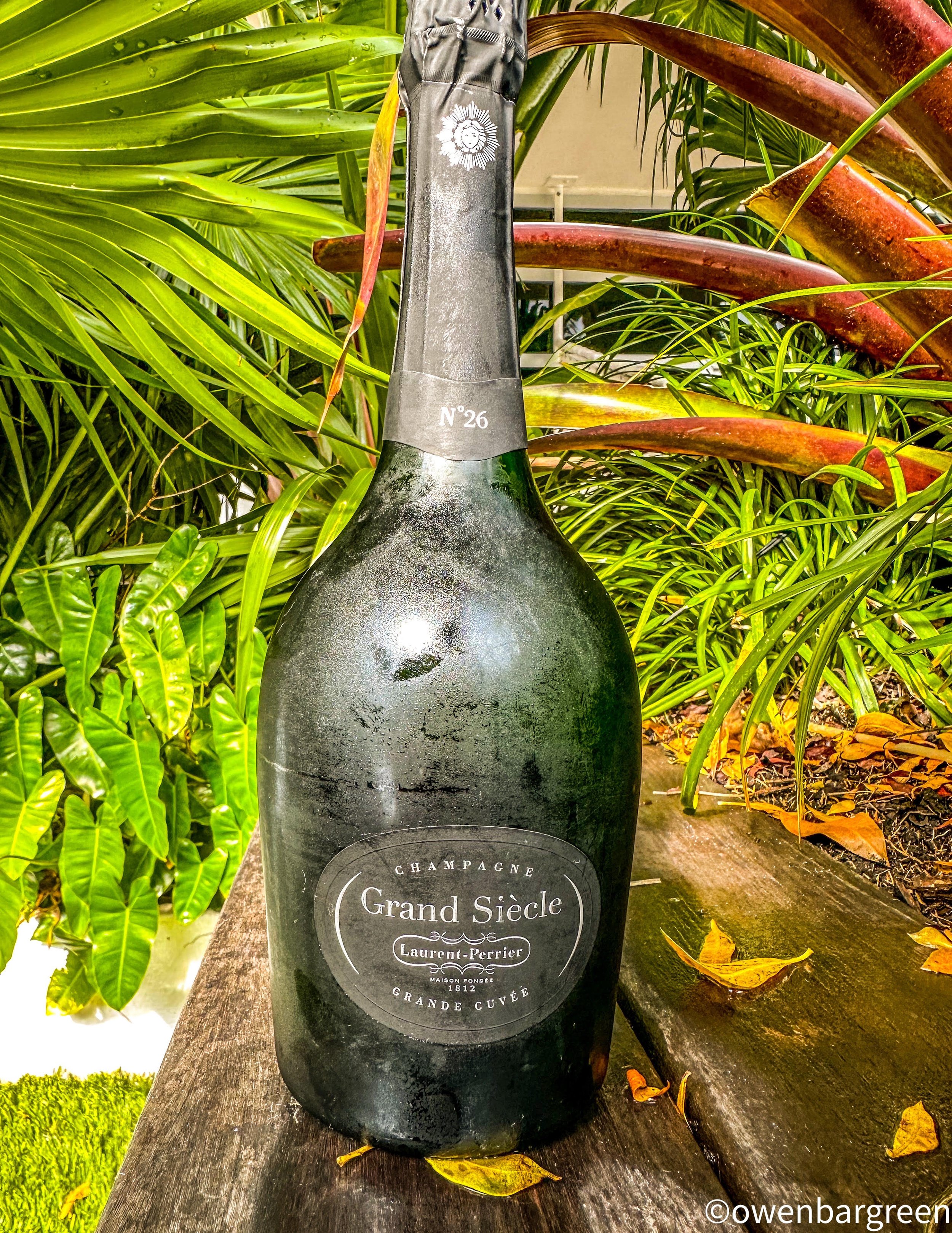 Is Dom Pérignon Worth It? We Tried The Most Expensive Champagne!