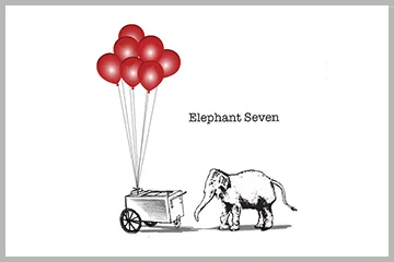 Elephant Seven bottle pic.jpg