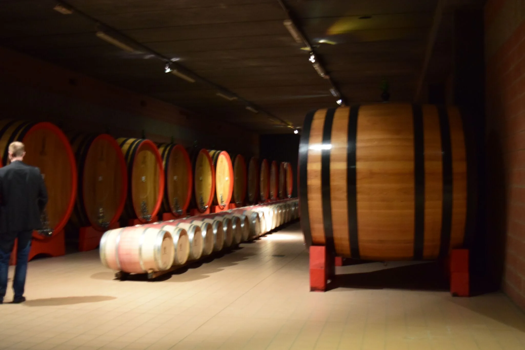 Ciacci barrel room.jpg