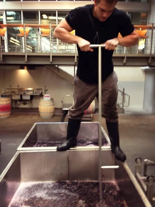 Andrew Januik working on his Cabernet.jpg