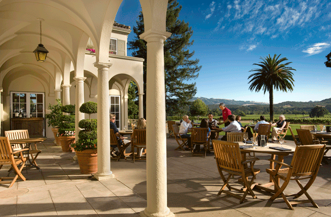 Chateau St. Jean vineyards 2.gif