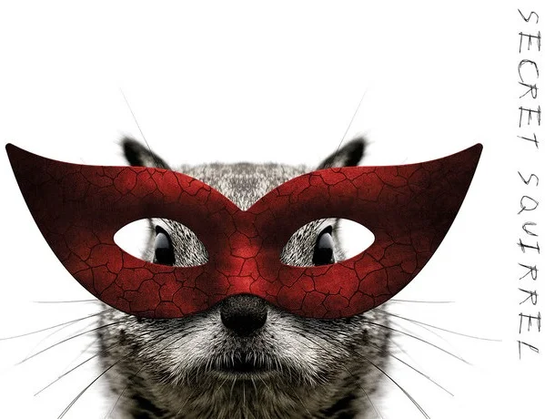 Secret Squirrel.jpg