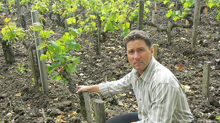 Scott Greer, pictured in the vineyard. 