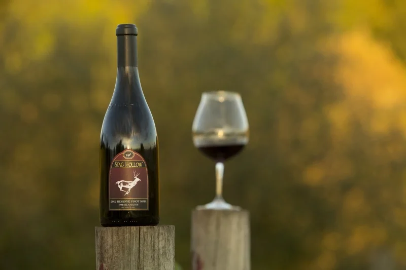 Great looking label on all Stag Hollow wines.