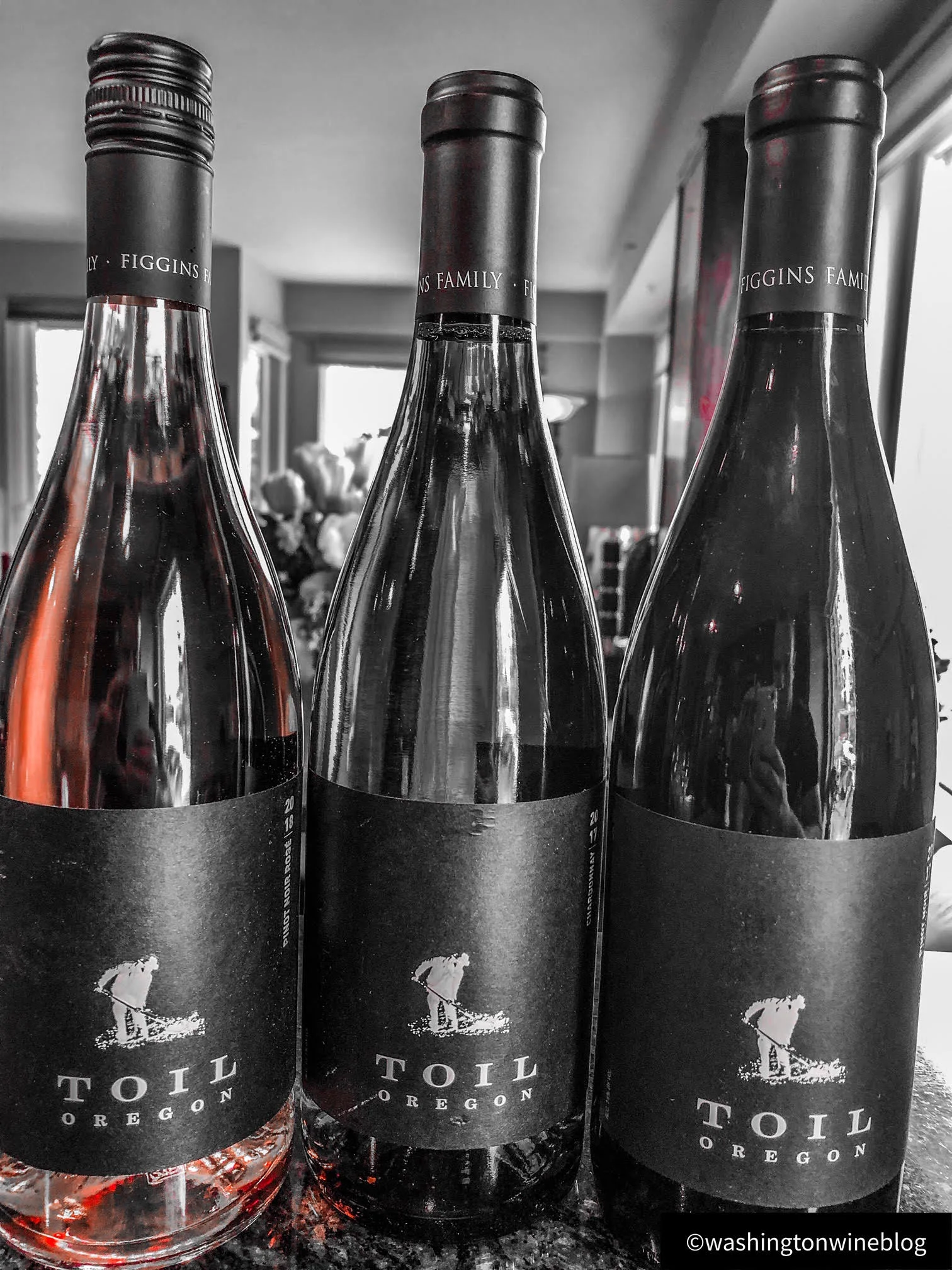 Toil Oregon 2019 wines.jpg