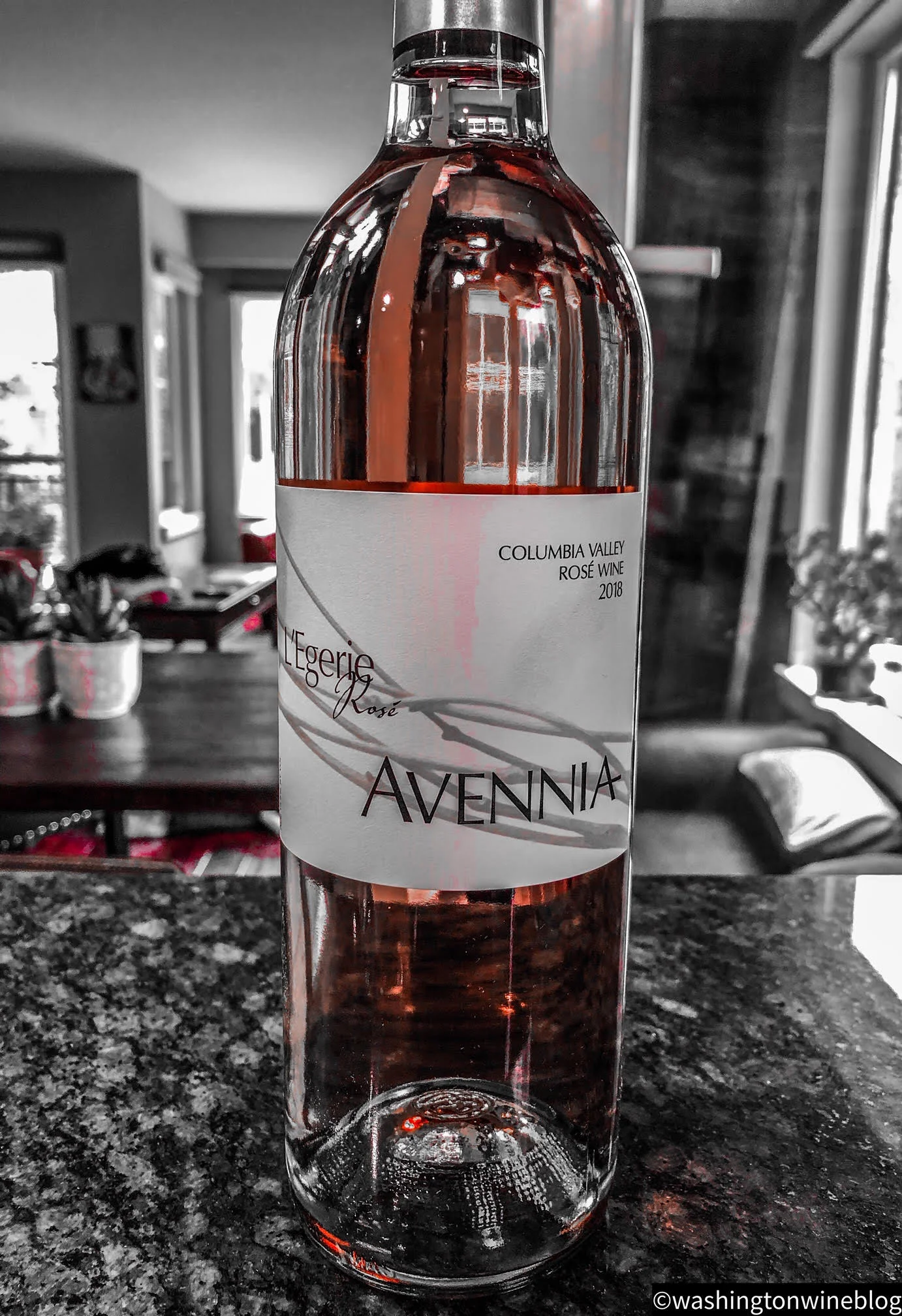 Avennia 2018 Rose.jpg