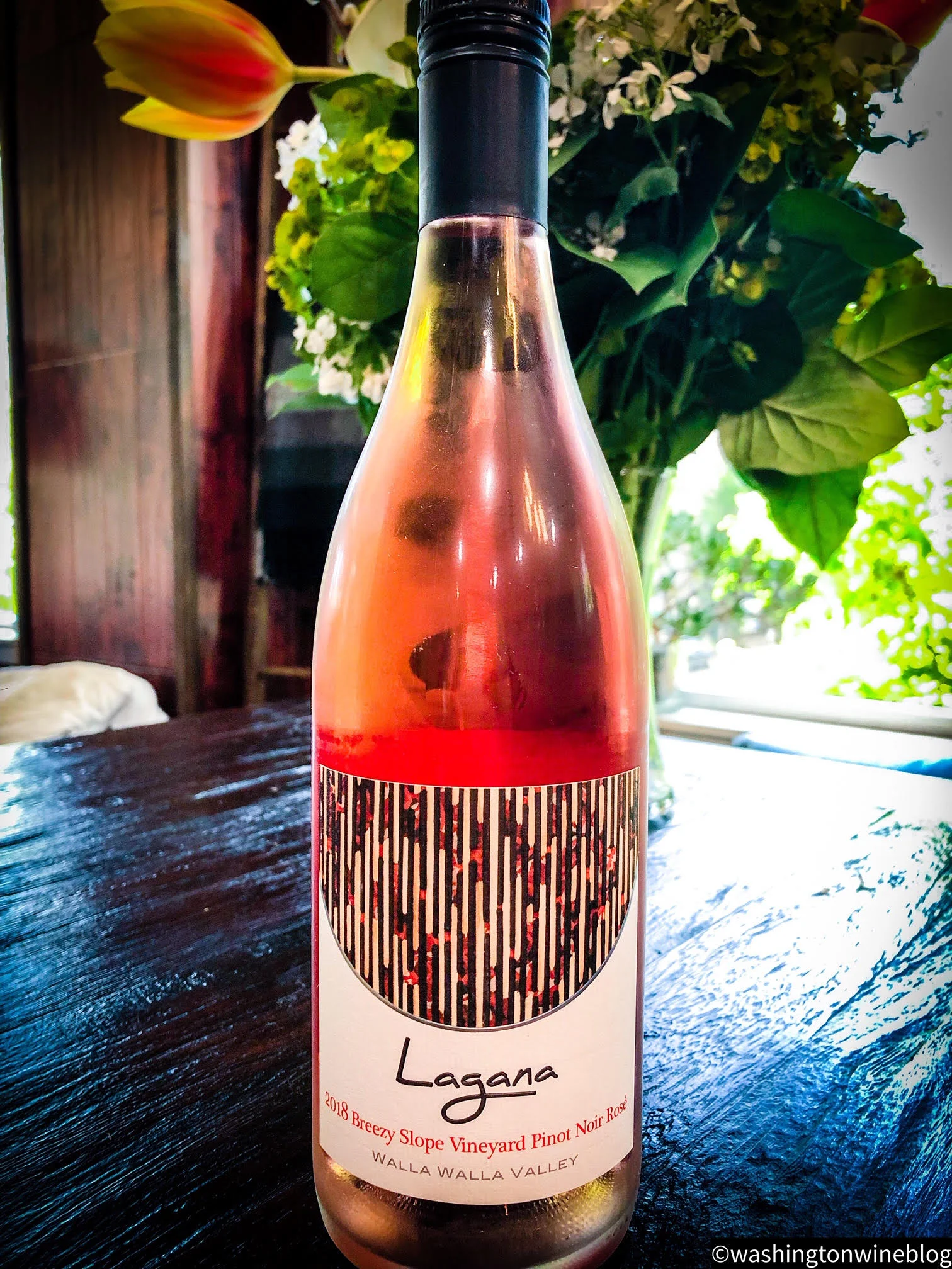 Lagana 2018 Rose.jpg