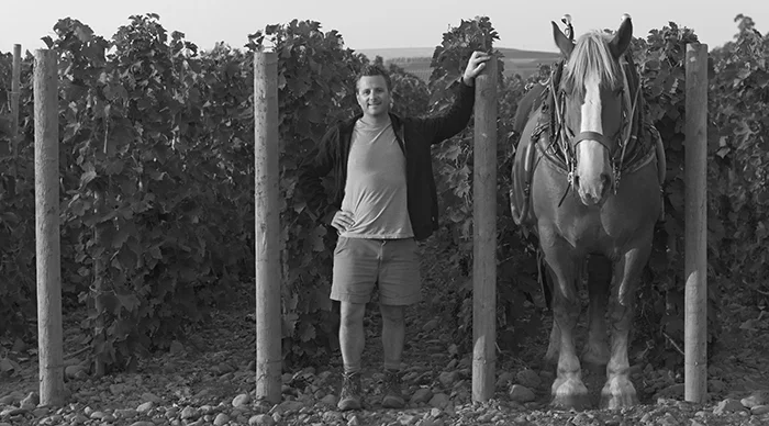 Great photo here of famed vigneron, Chrisotophe Baron, in his vineyard.