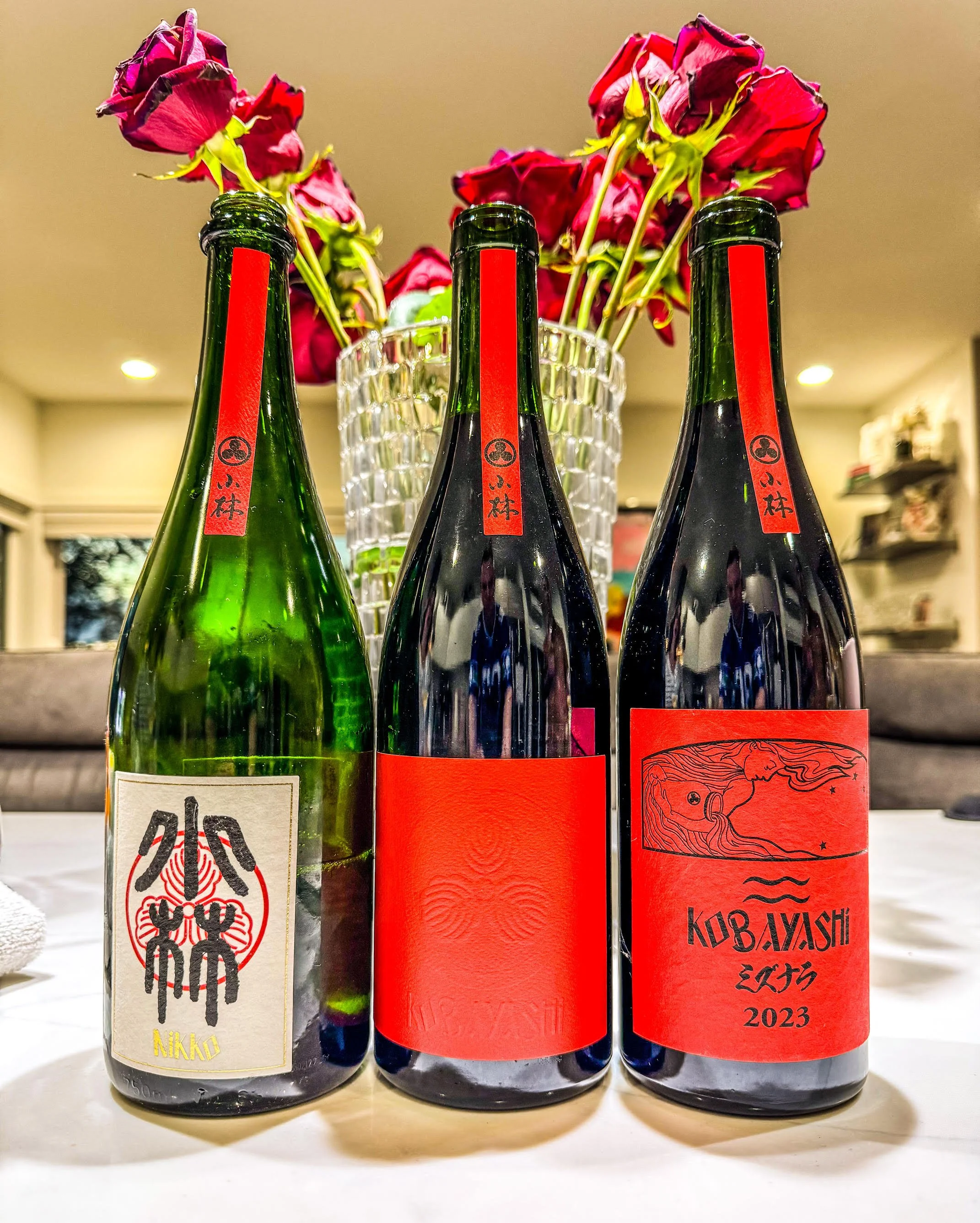 Kobayashi Nov 2025.jpeg