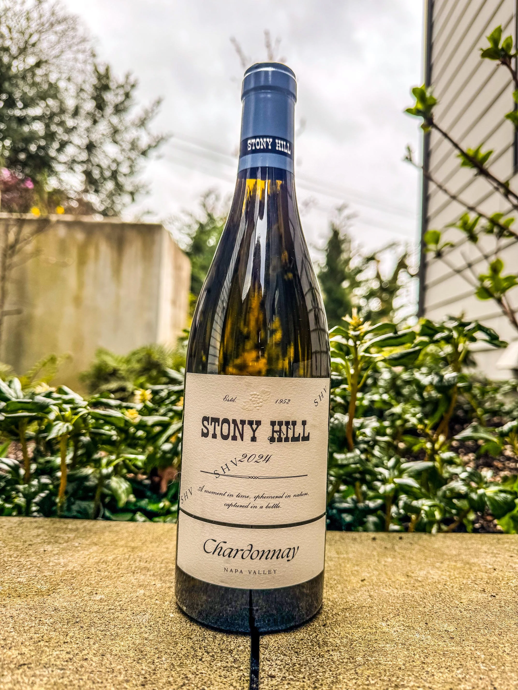 Stony Hill March 2026.jpg