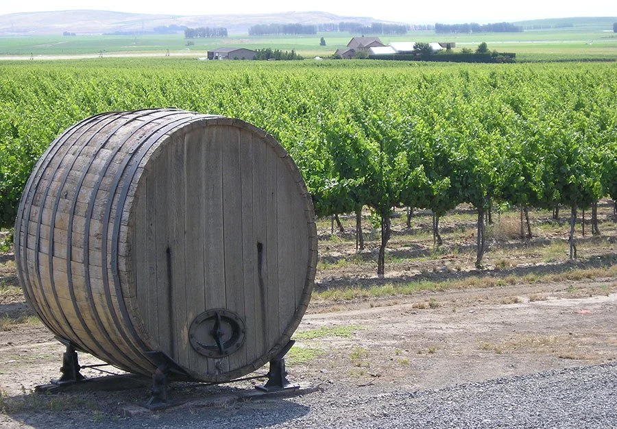 Quilceda Creek Champoux Vineyard.jpeg