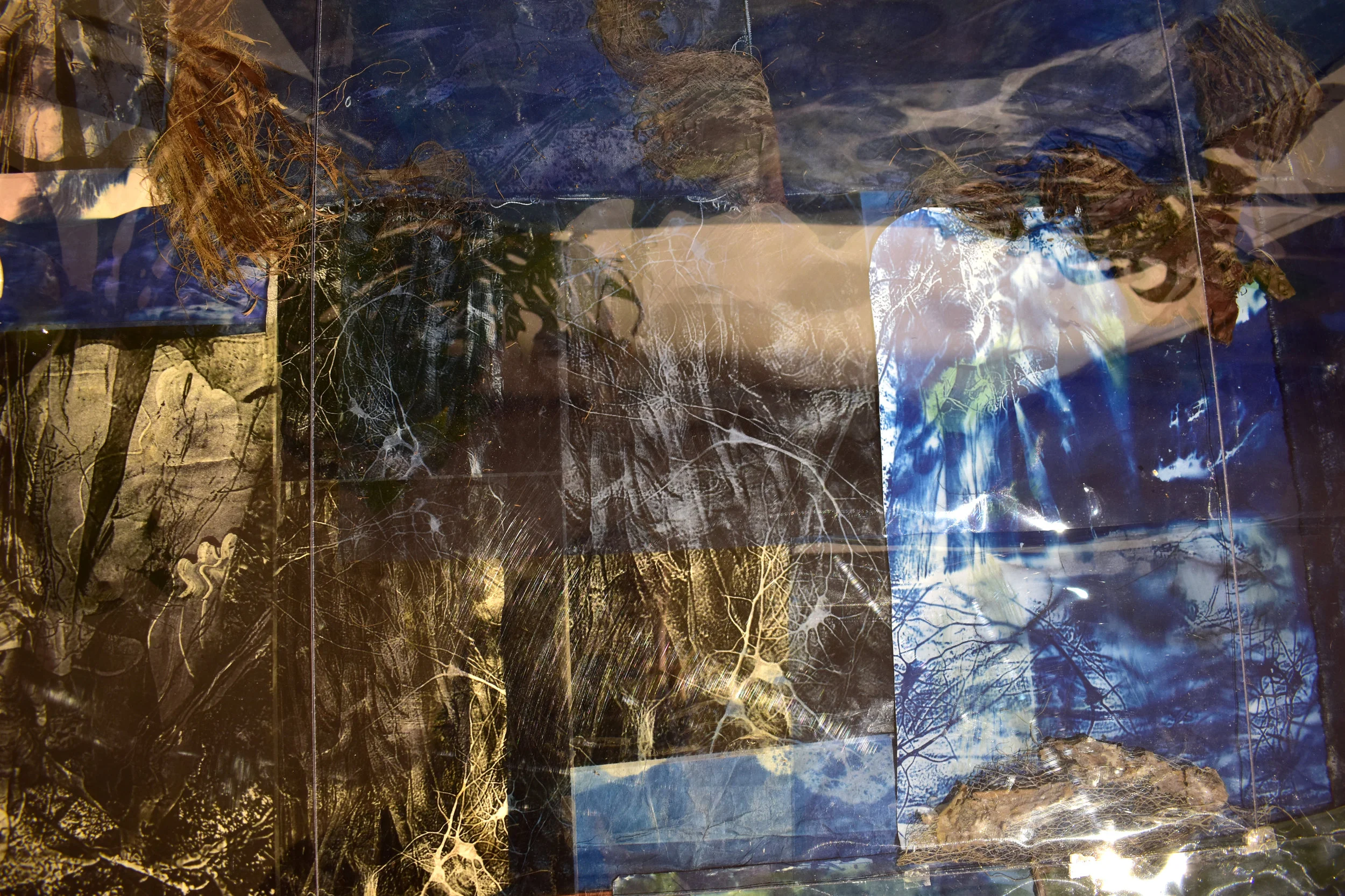 HTCF_plasmic strands_detail_7.jpg