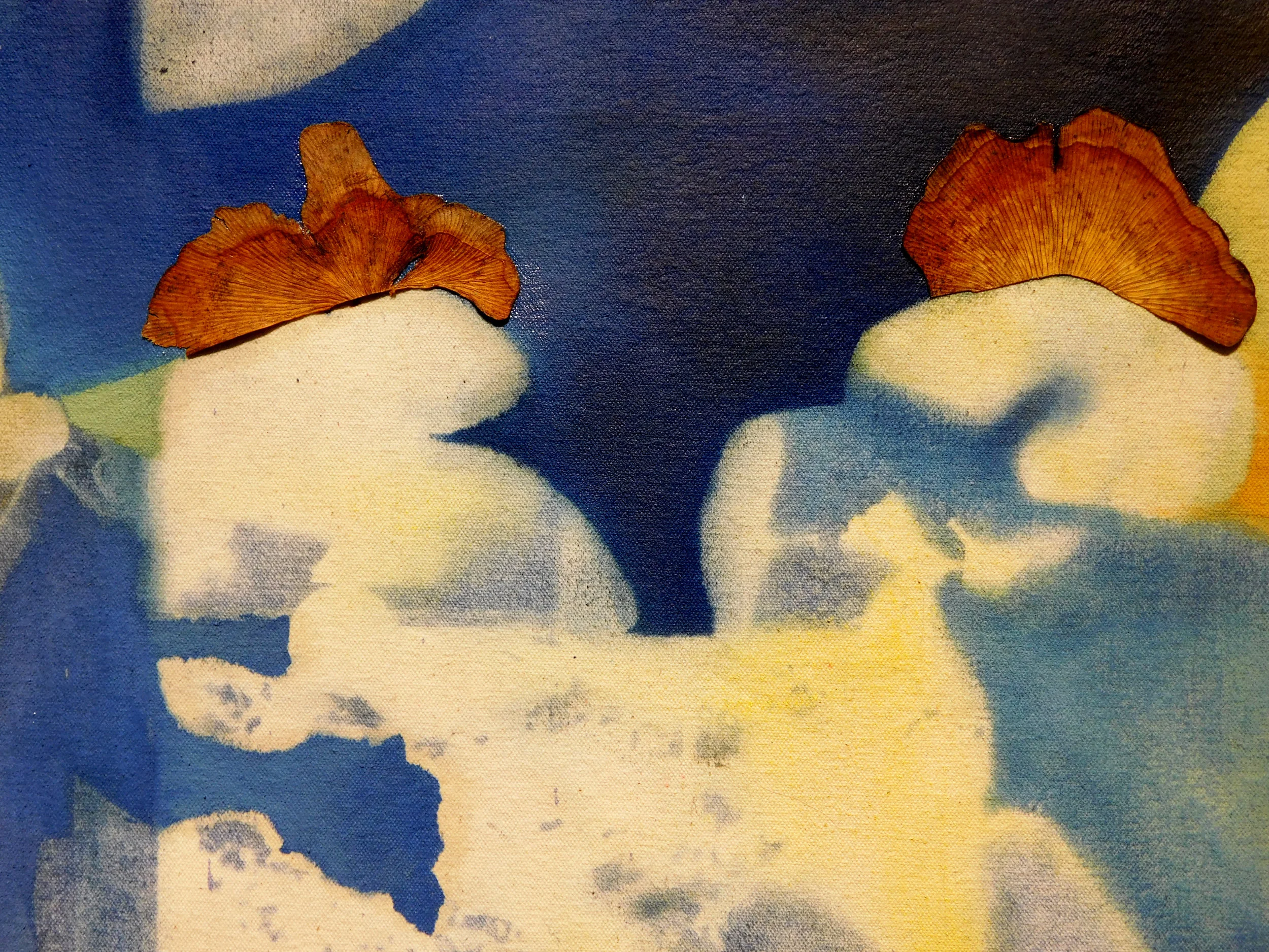 in assimilation_detail 2.jpg