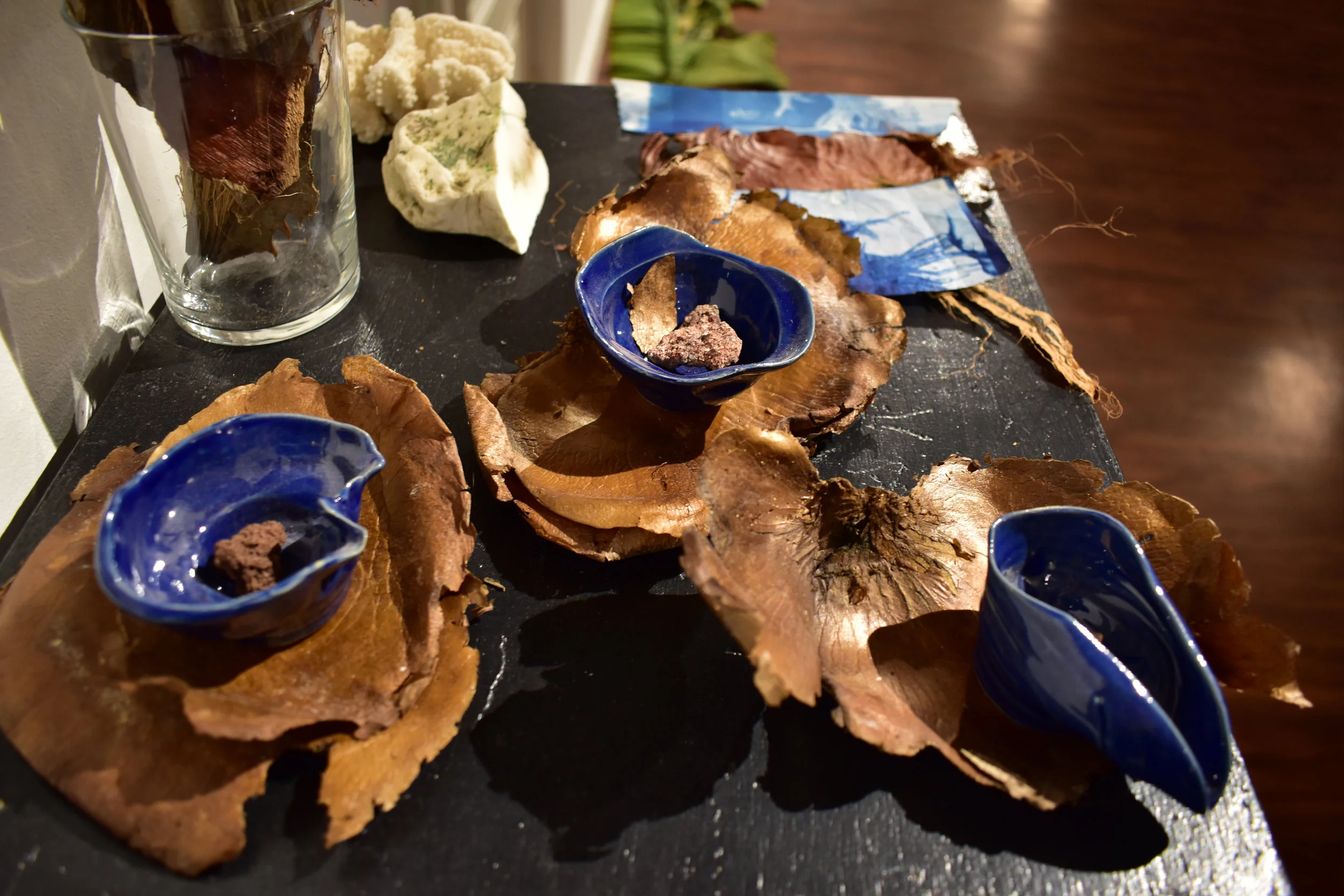 Altar for Unfurled. Elements incorporated into the composition of Study for Unfurled: Hand-made ceramic vessels, sulfur, basalt and scolocite rocks collected in Iceland. Coral from Portugal, platycerium bark (Jardin des Plantes, Paris), palm tree bark (Mallorca, Palermo, New Orleans), cyanotype scraps made from microscopic imagery of the human cerebellum.