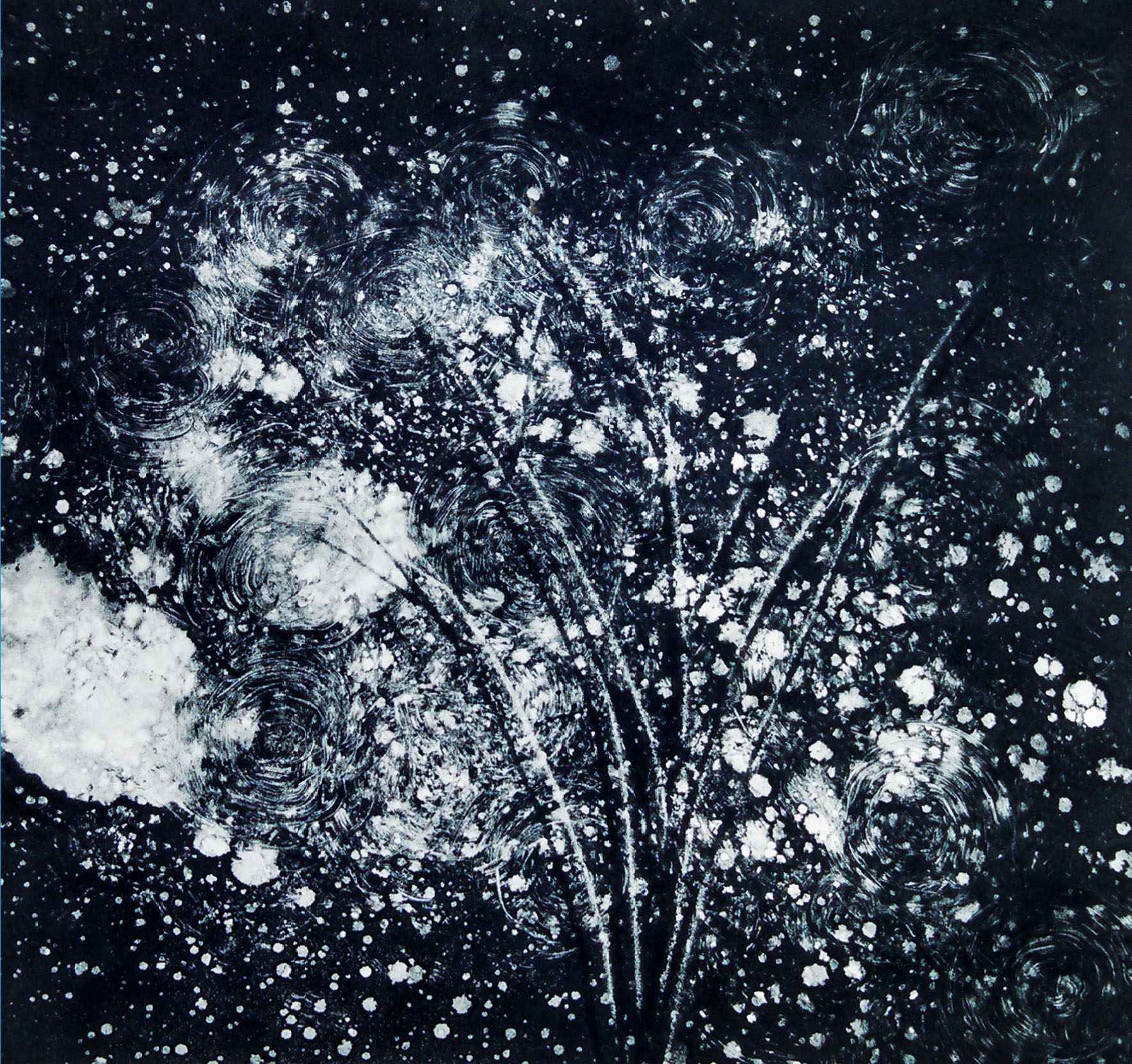 Dandelions at Midnight, monotype, 12” x 12” (30cm x 30cm)