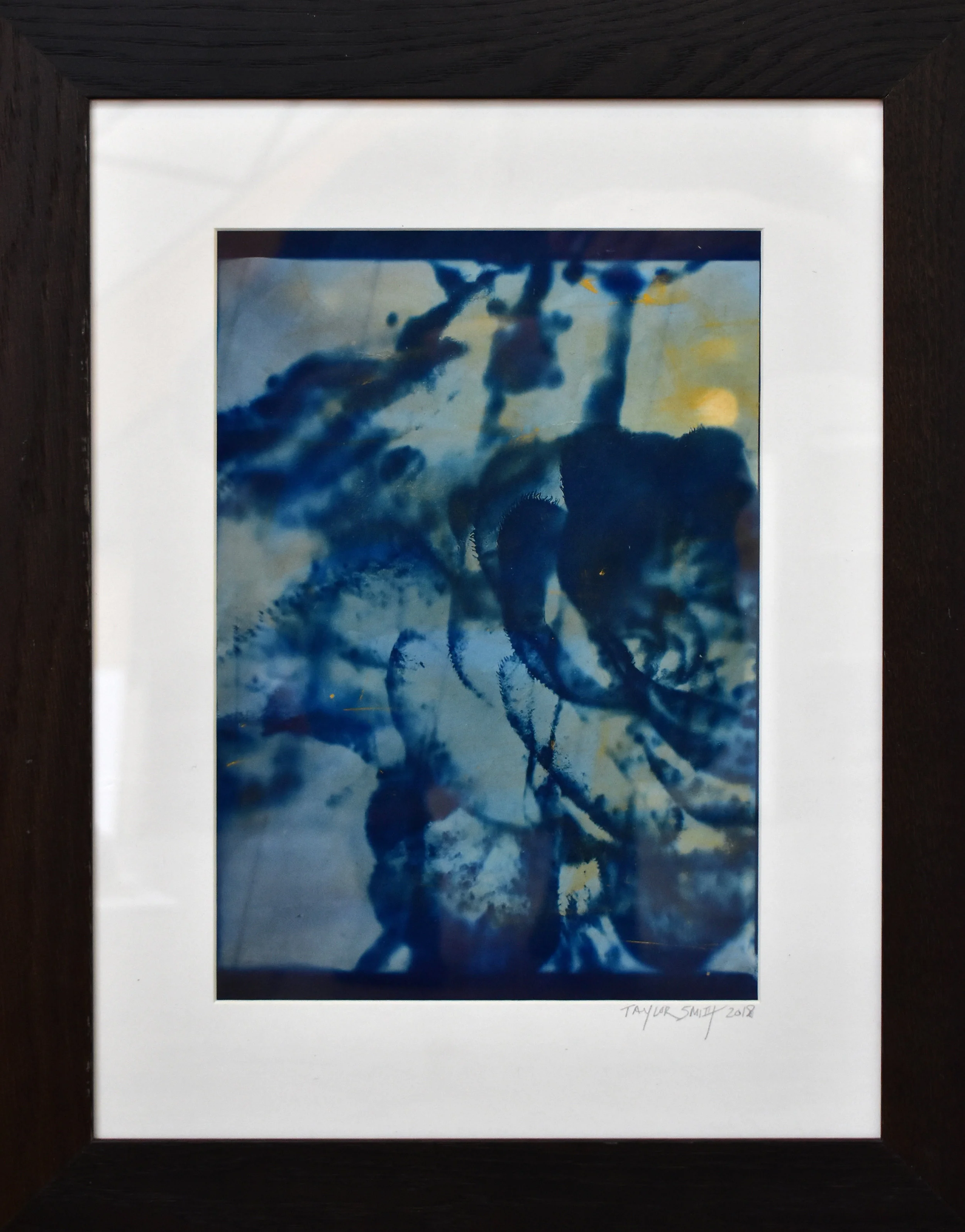 Study No. 1 (succulent bloom), 2018. Cyanotype made with yellow cadmium pigment, from a superposition of a microscopic photograph of an abalone shell collected in Sintra, Portugal, and macroscopique photograph of a cactus flower (Madrid Botanical Garden), both taken by the artist. Printed on Japanese paper, Private collection, Paris, France