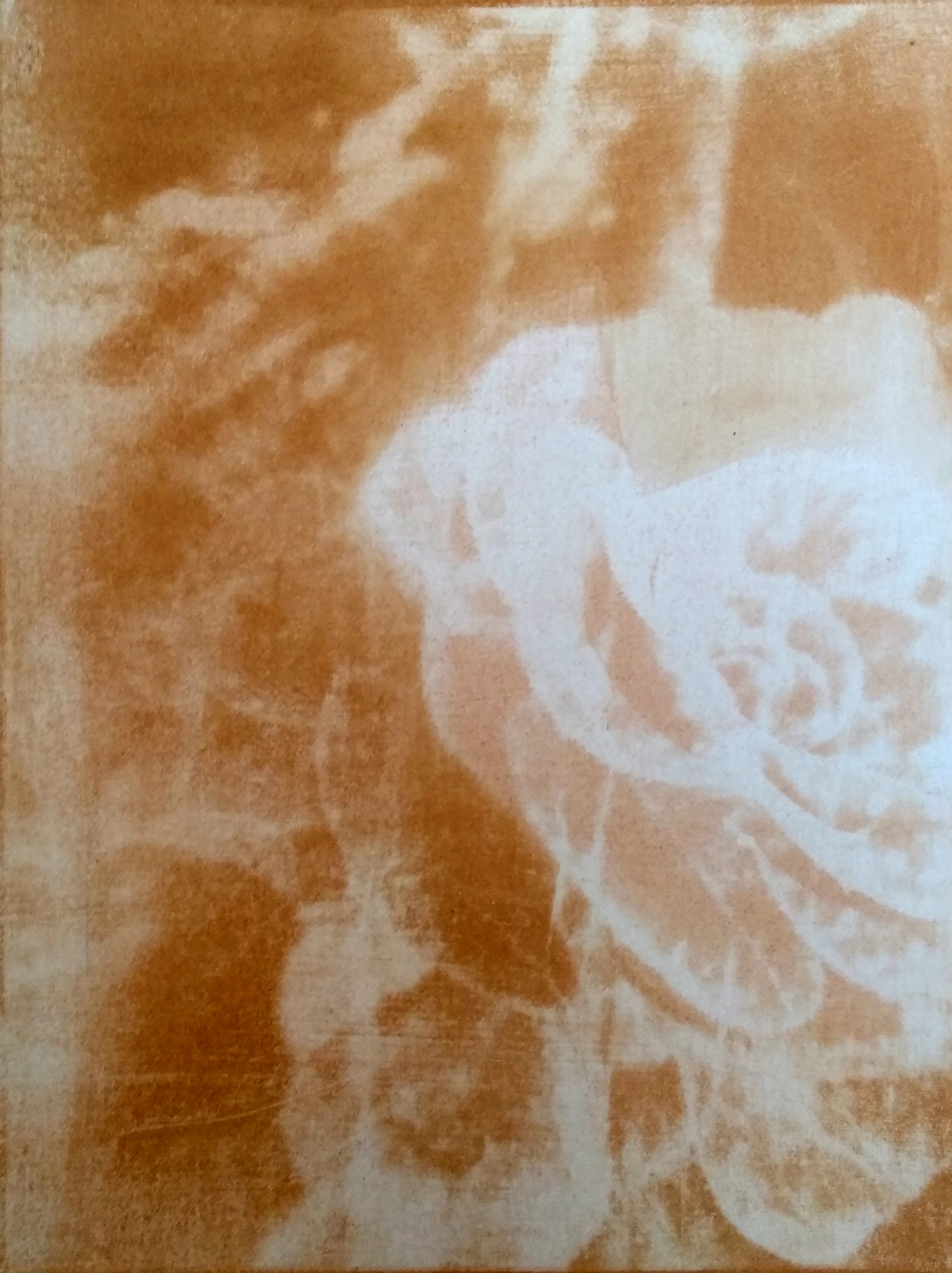 Gum bichromate print study (succulent bloom), 2018
