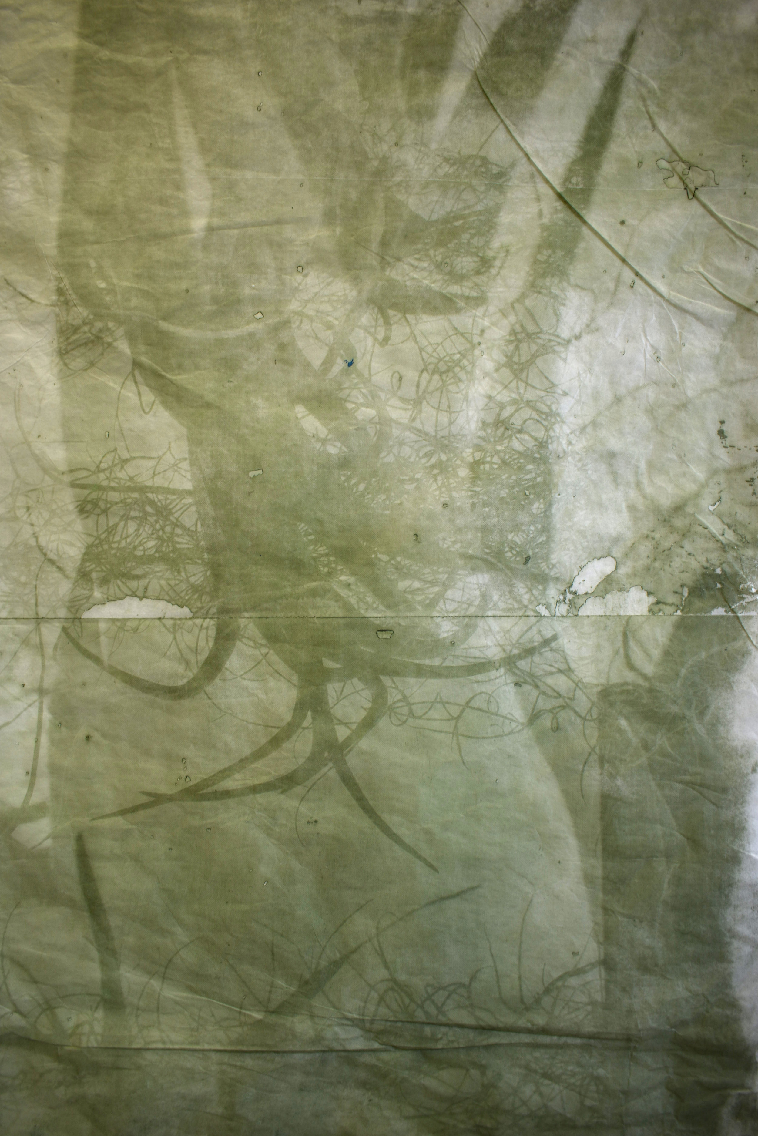 Interlaced, No. 1 : detail