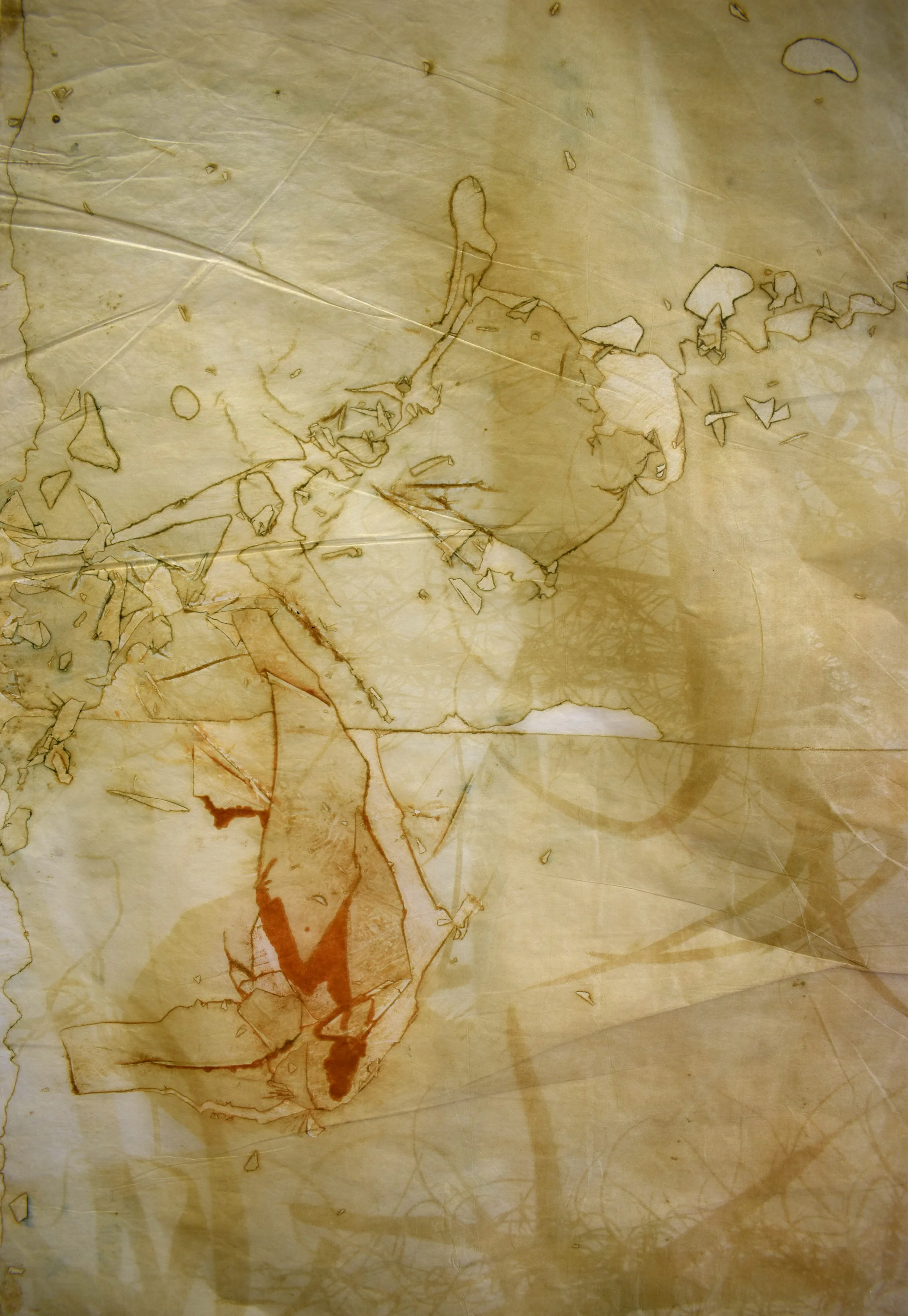 Interlaced, No. 4, detail